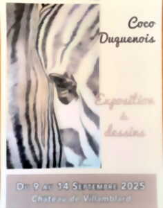 photo Exposition de dessins