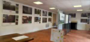 photo Exposition - Forêts d'ici