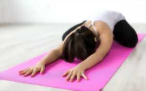 photo Reprise des cours de yoga