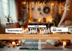 photo Stage Hatha Yoga : 