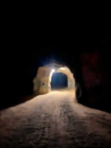 photo Visite-dégustation : Visite de cave troglodyte et vieux millésimes