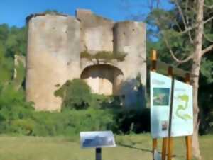 photo À la découverte des vestiges du château de la famille d'Aubigné au château de Mursay à Échiré
