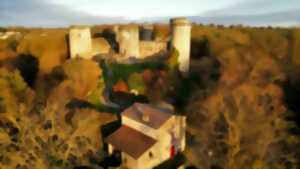 photo Ateliers du savoir-faire médiéval au Château Salbart à Échiré