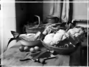 photo Atelier de photographie — Nature morte en sténopé