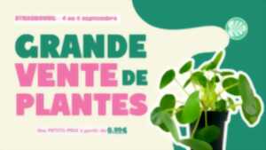 photo Grande vente de plantes