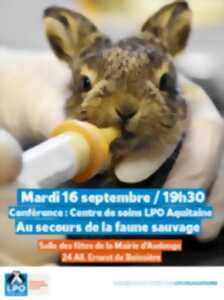 photo A la découverte du Centre de soins LPO Aquitaine