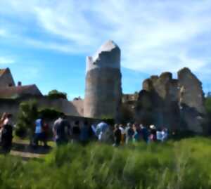 photo JEP - Le chantier de restauration & la collecte mémorielle du Château des Deux Tours