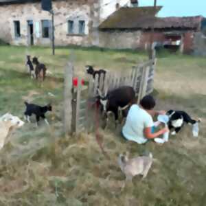 photo Éveil et Merveilles à la Ferme avec Les Sabots de Laine
