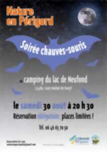 photo Soirée chauves-souris
