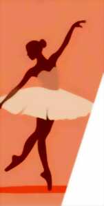 photo Gala de l'USB Danse