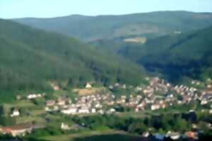 photo Promenade-découverte de Rothau