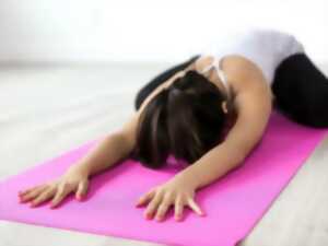 photo Reprise des cours de yoga