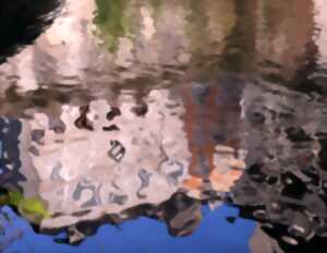 photo Exposition : Reflets - Oeil du Neez