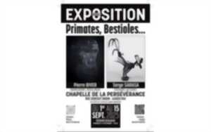 photo Exposition: Primates, Bestioles...