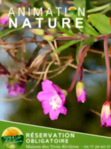 photo Balade et animation nature