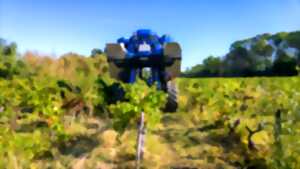 photo Micro-Folie : Visite guidée - Vendanges