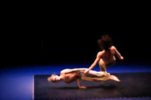photo Agora Pôle National Cirque - Au commencement était la chute / Jules Houdin et Guilhèm Charrier