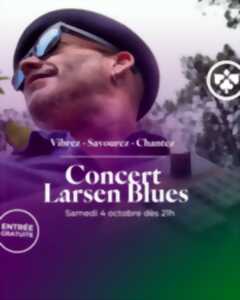 photo Concert Larsen Blues
