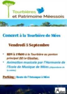 photo Concert à la Tourbière de Mées
