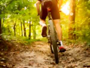photo Rando semi nocturne pédestre/VTT