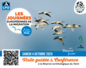 photo Journées européennes de la migration : visite guidée et conférence à la Réserve ornithologique du Teich !