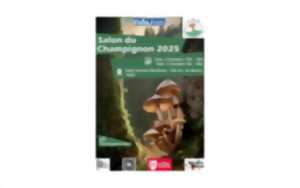 photo Salon du champignon
