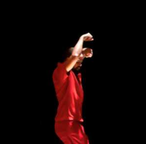 photo Le Mois de la danse - Spectacle 