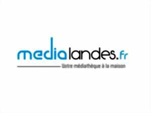 photo Atelier : Présentation de la bibliothèque numérique Médialandes
