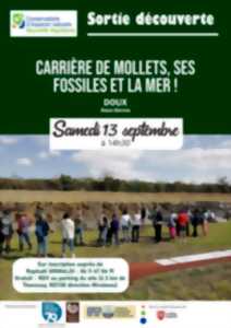 photo Carrière de Mollets, ses fossiles et la mer !