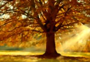 photo L'automne des poètes à Arçay