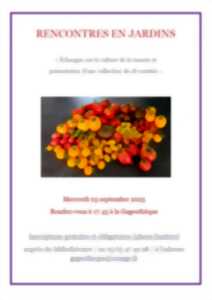 photo Rencontres en jardins - La tomate