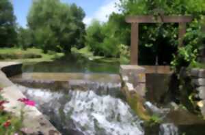 photo JEP AU MOULIN DU BONDONNEAU