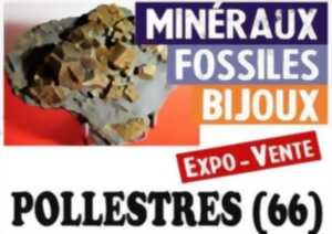 photo SALON DES MINERAUX
