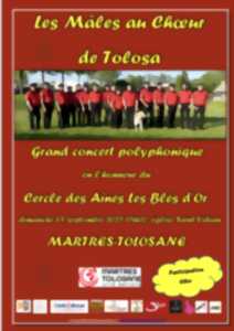 photo LES MÂLES AU CHOEUR DE TOLOSA