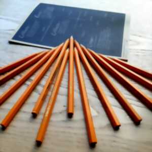 photo Suivez le crayon ! Spécial « L’état sauvage »