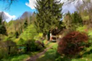 photo Jardin en Fêtes