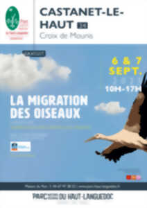 photo LA MIGRATION DES OISEAUX