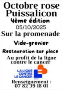 photo VIDE GRENIER OCTOBRE ROSE