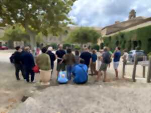 photo LES VISITES GUIDÉES DES JOURNÉES DU PATRIMOINE AU CHÂTEAU ABBAYE DE CASSAN