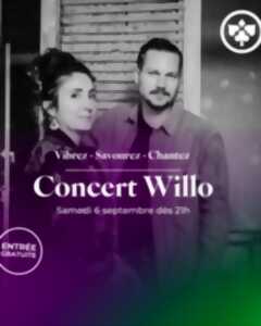 photo Concert Willo