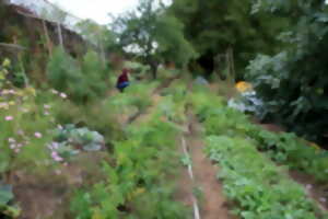 photo Jardiner au fil des saisons