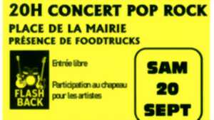 photo Concert Pop-Rock et Feu d'Artifice