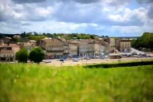 photo Visite du quartier Saint-Simon et du Cours Bacalan de Blaye pour les Journées Européennes du patrimoine
