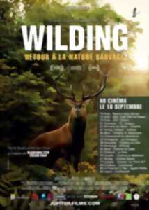 photo WILDING, Retour à la Nature Sauvage