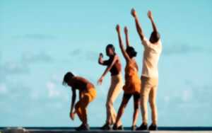 photo Festival le Temps d'aimer la danse : Collectif Hedo et Dantzaz
