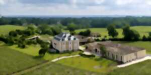 photo Ici, nos savoir-faire - Château Haut-Bailly, Grand Cru Classé
