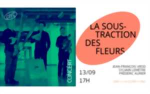 photo Concert La Soustraction des Fleurs