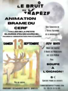 photo Animation 
