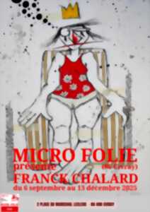 photo Exposition : Micro Folie présente Franck Chalard