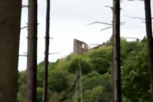 photo Visite guidée : Château du Bilstein